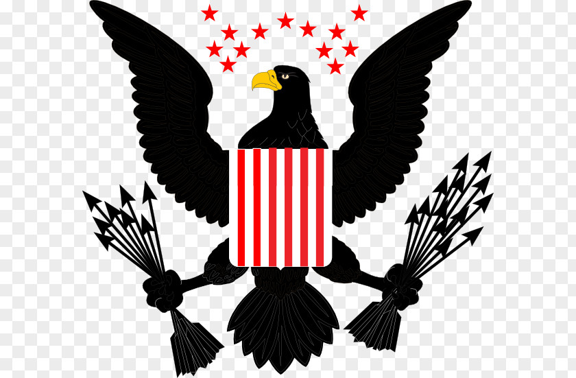 American Eagle Bald White-tailed Clip Art PNG