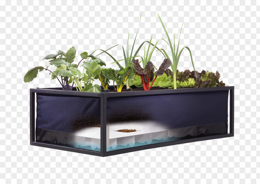 Balcony Urban Agriculture Gardening PNG