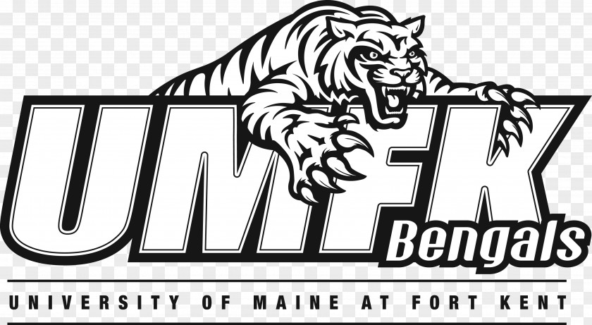Bengals Logo Vector University Of Maine At Fort Kent Men's Basketball Drive PNG