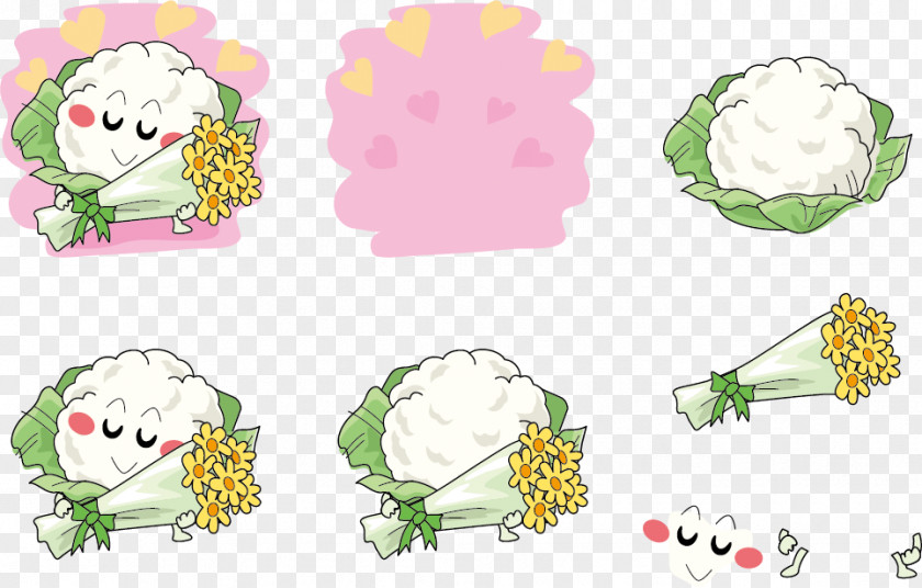 Cauliflower Expression Vector Holding A Flower Floral Design Illustration PNG