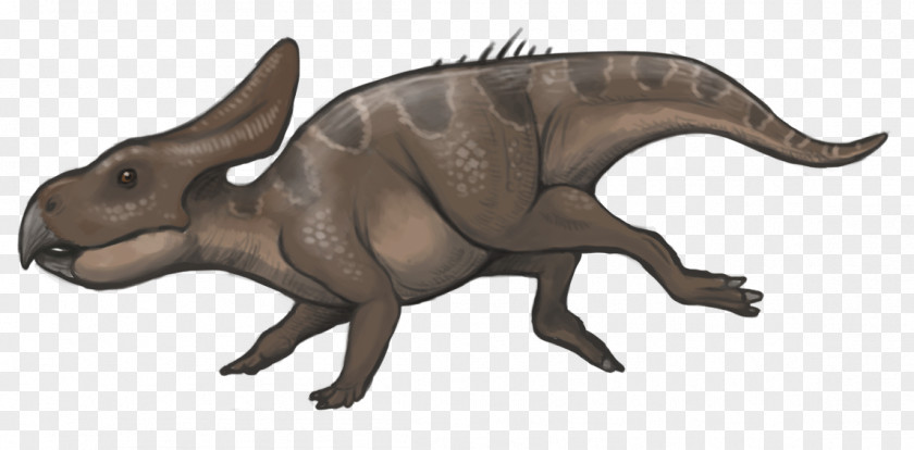 Dinosaur Protoceratops Ceratopsia Late Cretaceous Velociraptor PNG