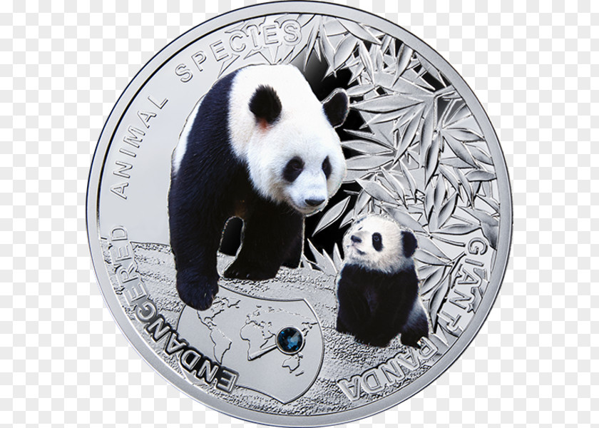 Giant Panda The Endangered Species Silver Coin PNG
