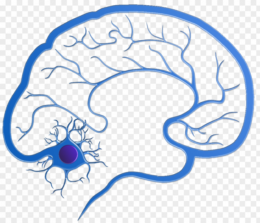 Neurons Central California Neurology: Dale Helman, MD Neurological Disorder Borina Dramov, M.D. PNG