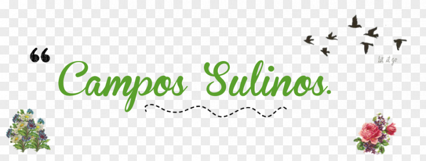 Sagui De Tufos Brancos Pampas Grassland Logo Design Font PNG