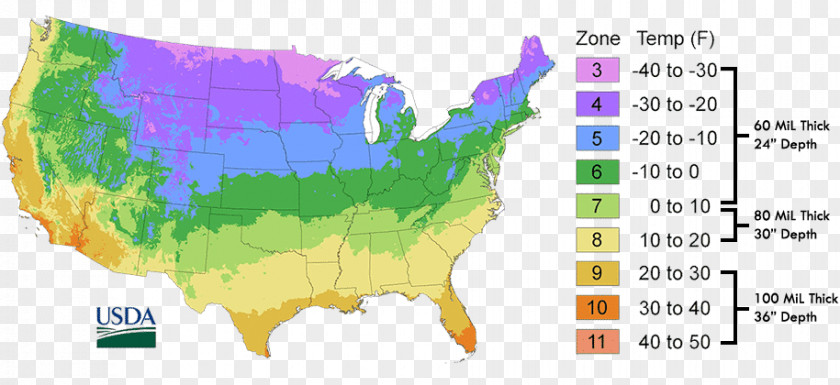 Temperature Zones United States Of America Hardiness Zone Map Department Agriculture PNG