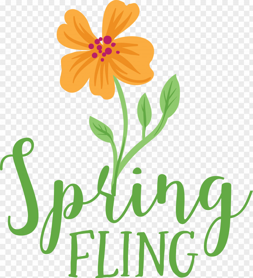 Floral Design PNG