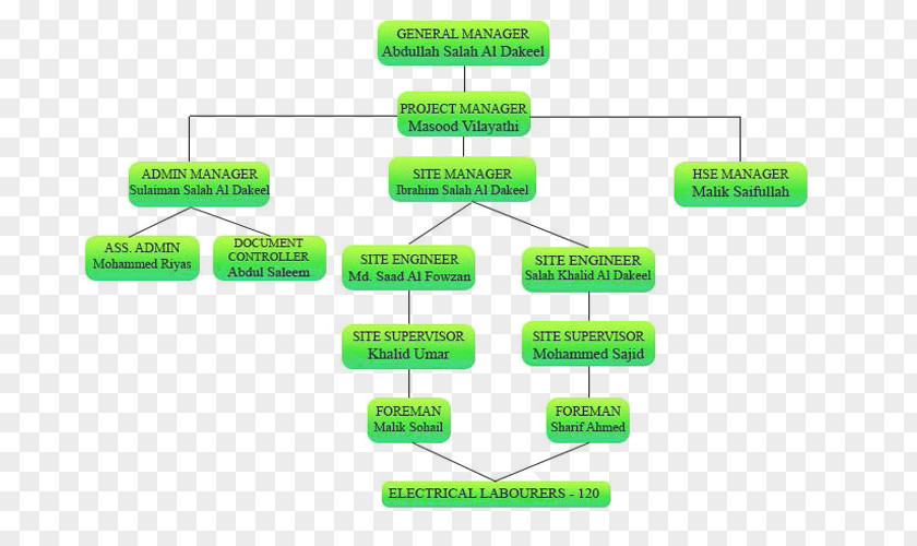 Technology Organizational Chart Company Structure PNG