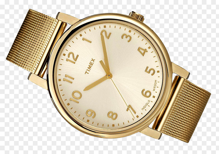 Watch Timex Women's Easy Reader Group USA, Inc. Indiglo Gold PNG