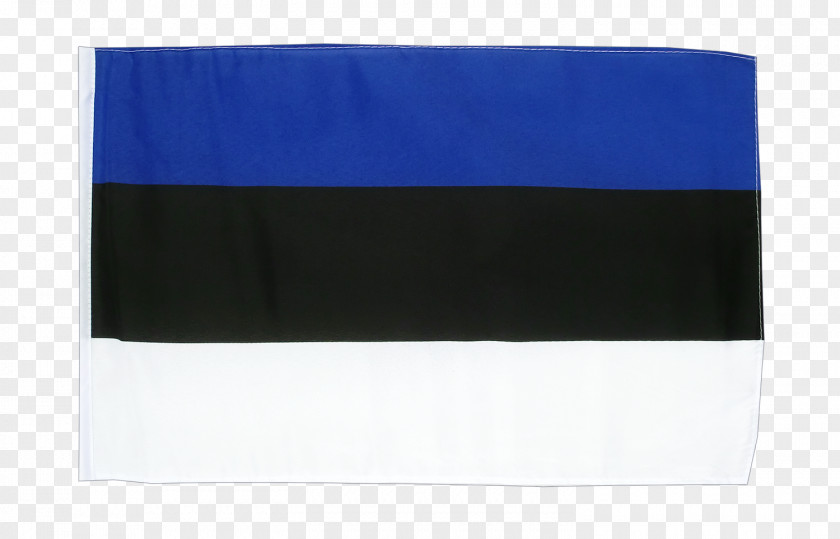 Bunting Material Cobalt Blue Flag Rectangle PNG