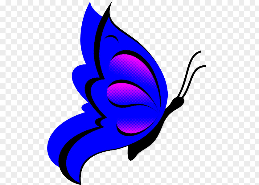 Butterfly Electric Blue Moths And Butterflies Pollinator Wing PNG