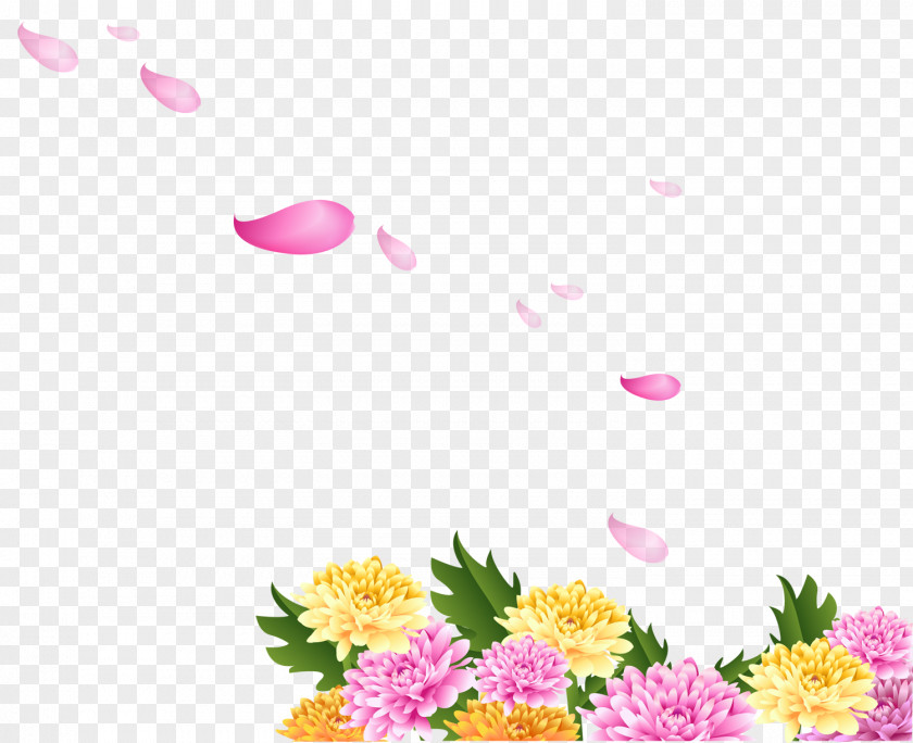 Chrysanthemum Flower Petal PNG