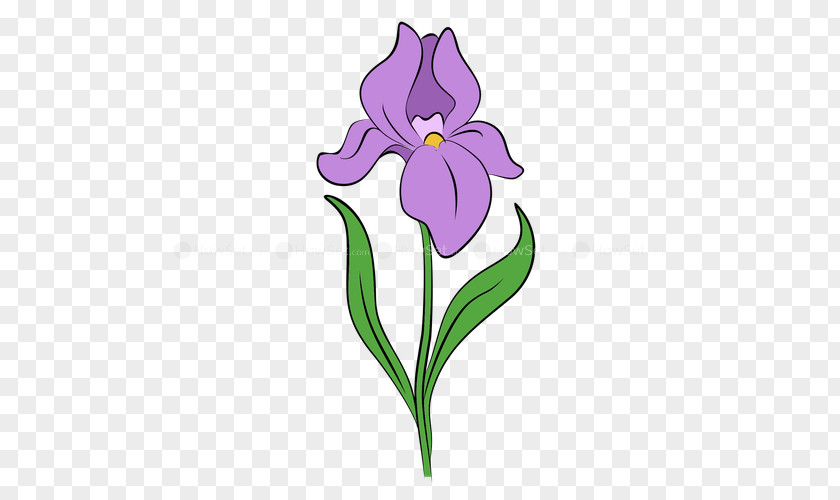 Flower Drawing Iris Data Set Clip Art PNG