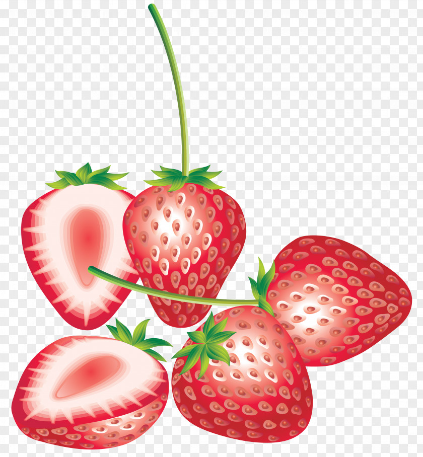 Hand Painted Vector Strawberry Tree Terrier Florida Festival Tart Shortcake Pie PNG