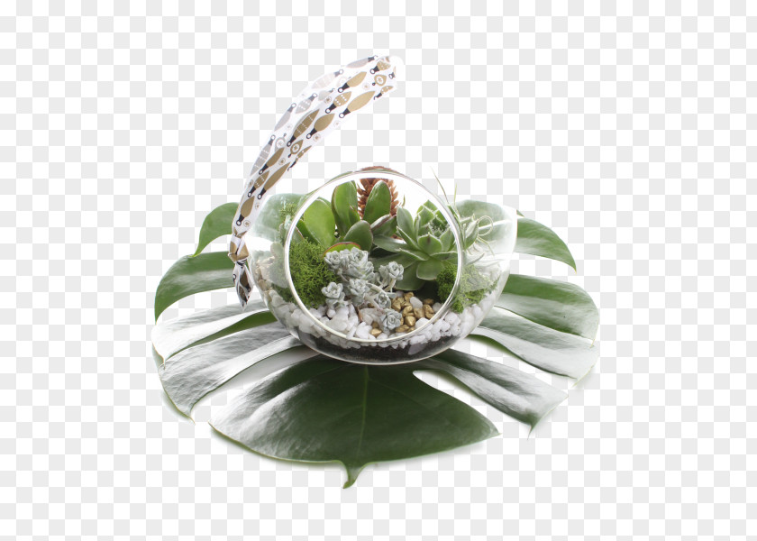 Succulent Wedding Herb PNG