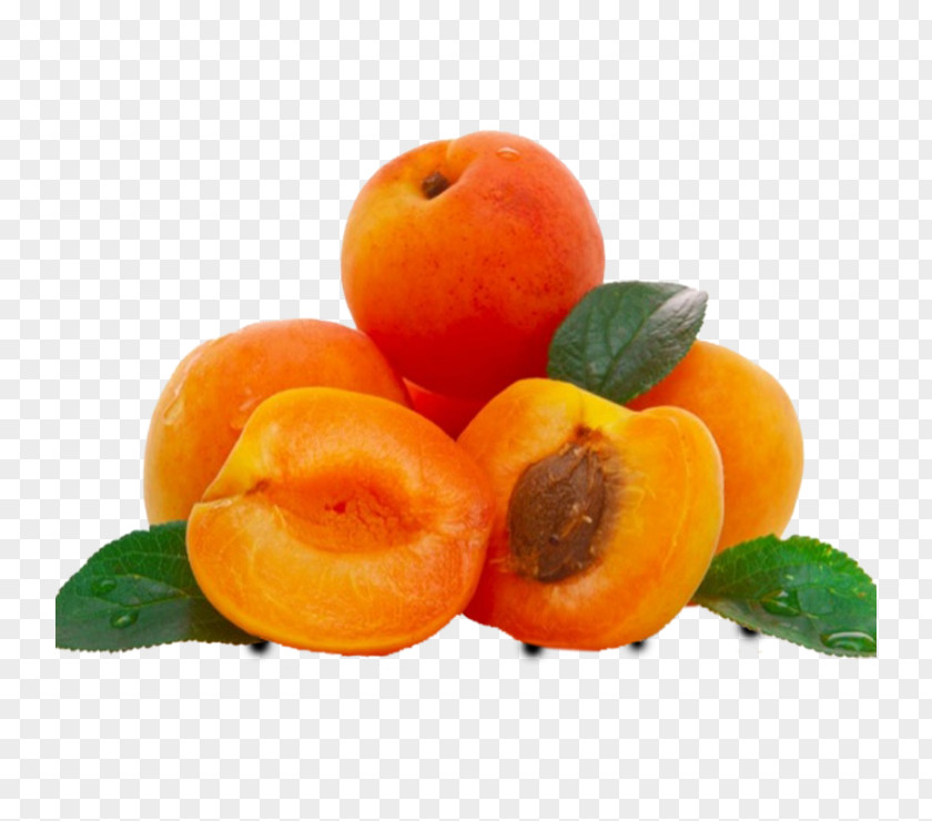 Apricot Oil Kernel Carrier PNG