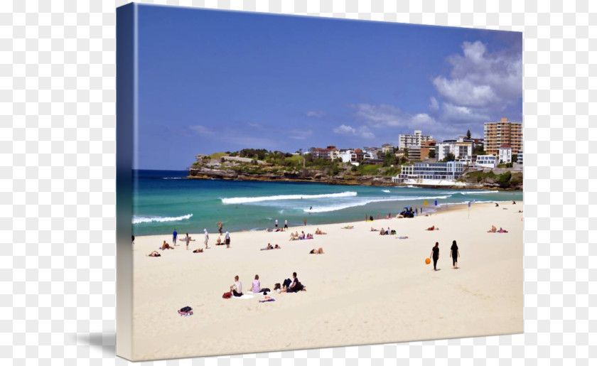 Bondi Beach Shore Coast Vacation Tourism PNG