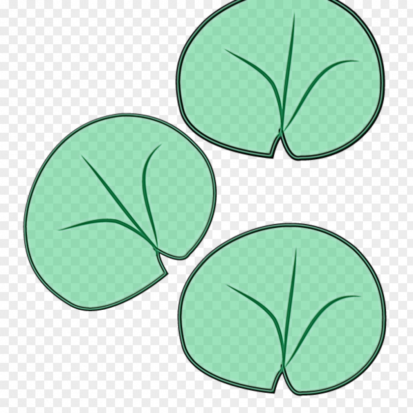 Clover Plant Green Leaf Background PNG