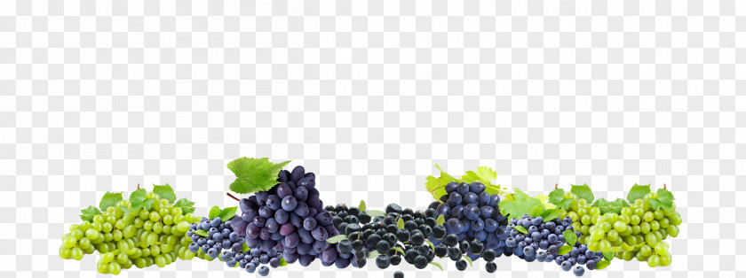 Grape Winery Colle Del Bricco Wine Cellar PNG