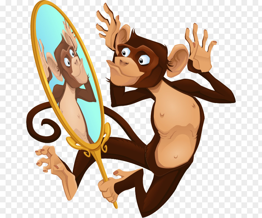Mirror Monkey Cartoon Illustration PNG