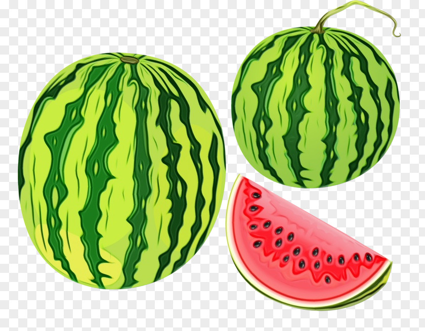 Superfood Muskmelon Drawing Of Family PNG