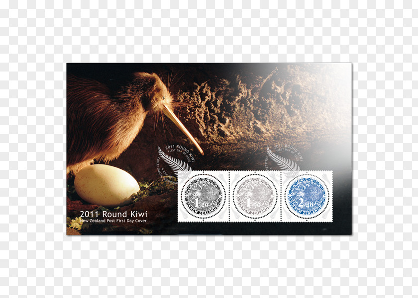 Bird Stock Photography Little Spotted Kiwi Alamy PNG