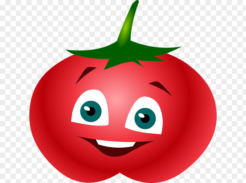 Cartoon Tomato Illustration PNG