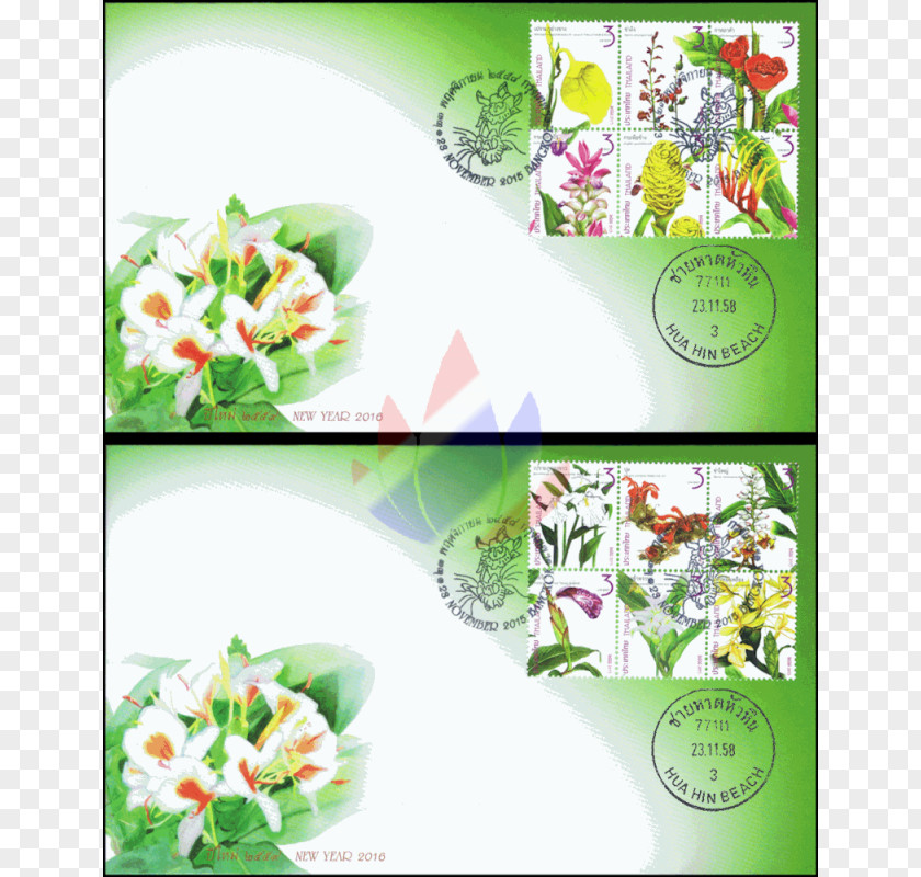 Design Floral Petal Flower PNG