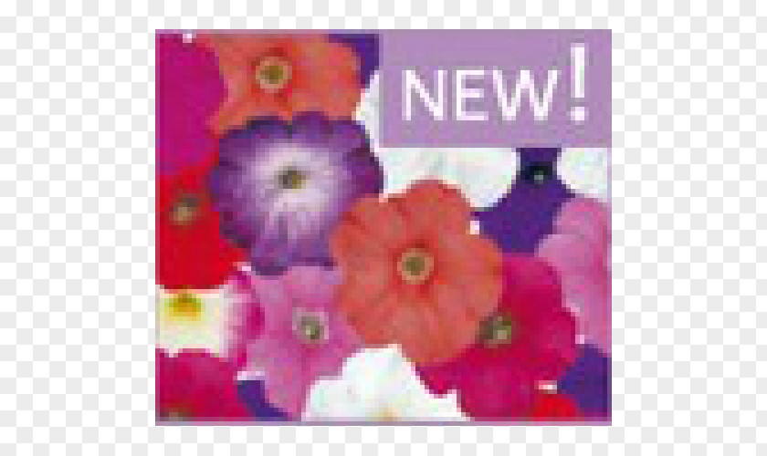 Mix Flowers QR Code Business Cards PNG