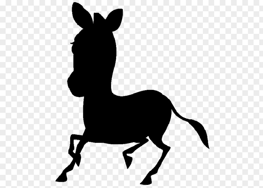 Mule Mustang Stallion Halter Bridle PNG