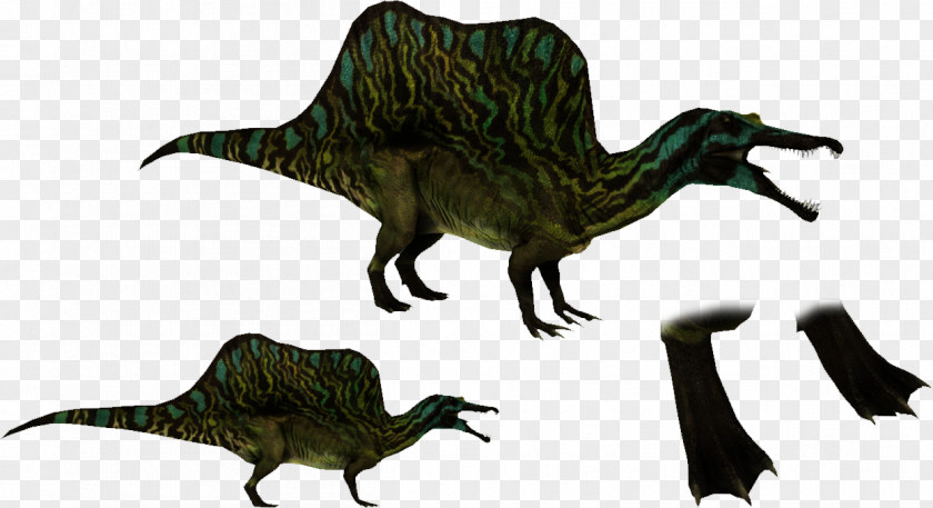 Pangolin Spinosaurus Quadrupedalism Knuckle-walking Beak Animal PNG
