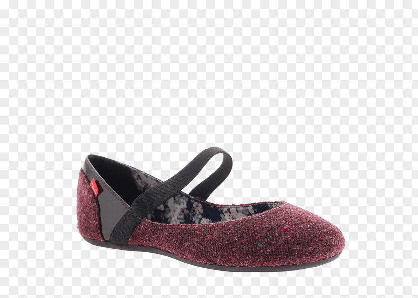 Ballet Flat Slipper Pointe Shoe PNG