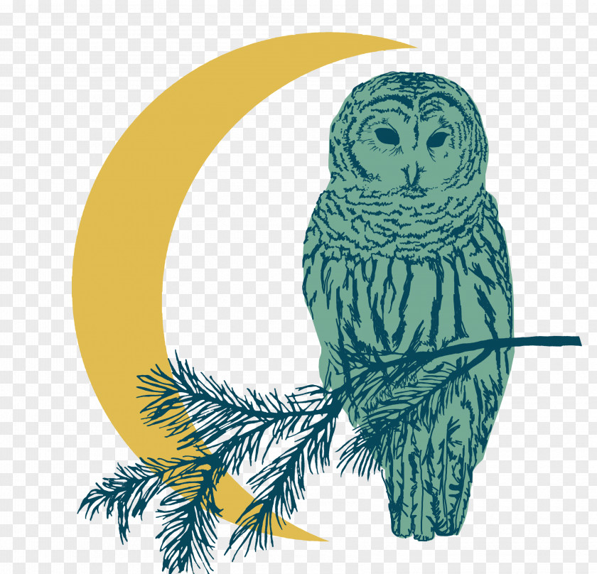 Barn Owl Bird Of Prey Cartoon Nature Background PNG