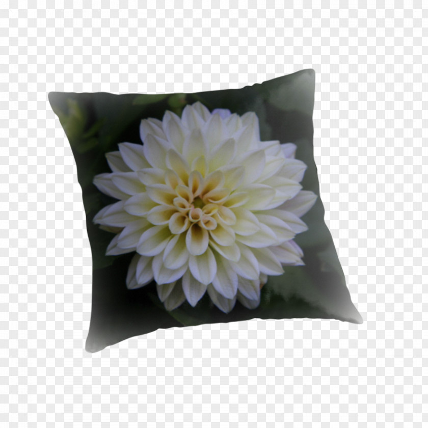 Pillow Throw Pillows Cushion Flower PNG