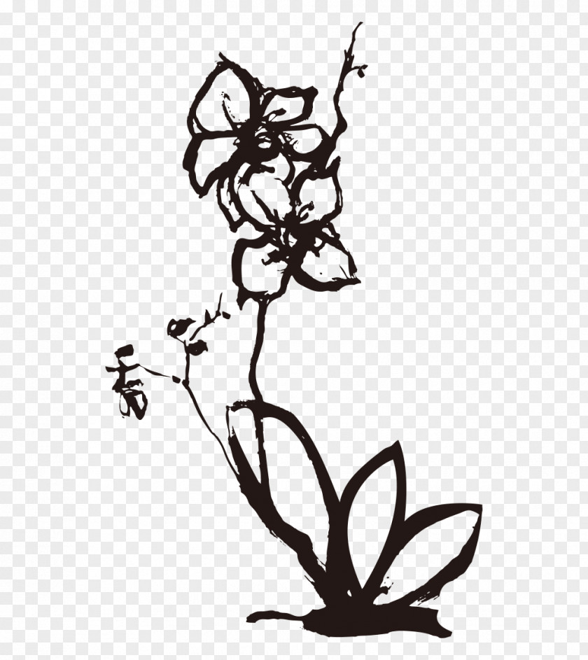 Plum Freehand Orchids Drawing Euclidean Vector PNG