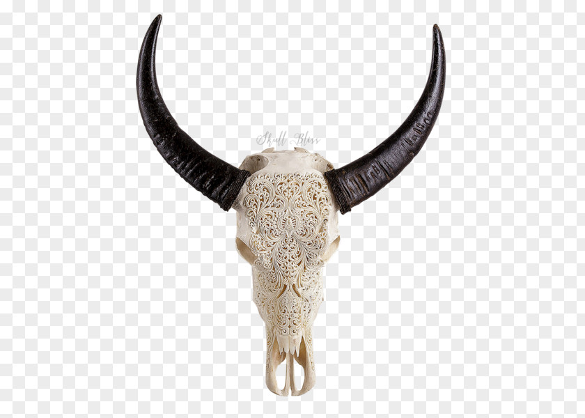 Skull Viking Horn Cattle Animal Skulls PNG