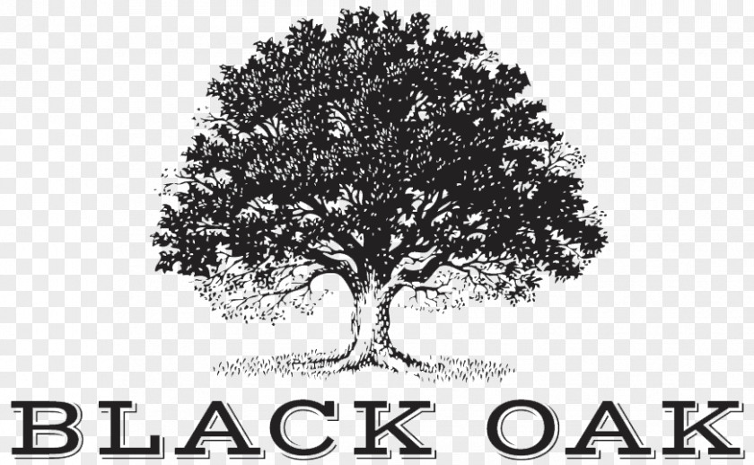 Wine Black Oak BLISS CHAMPIONS Tree Company PNG