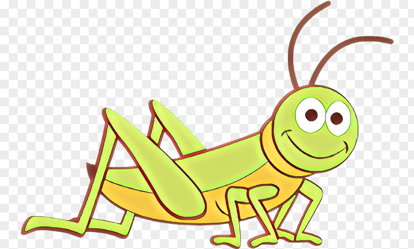 Animal Figure Cricketlike Insect Grasshopper Cartoon Cricket-like PNG