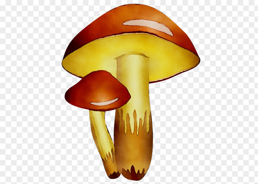 Clip Art Mushroom Product Design Free Content PNG