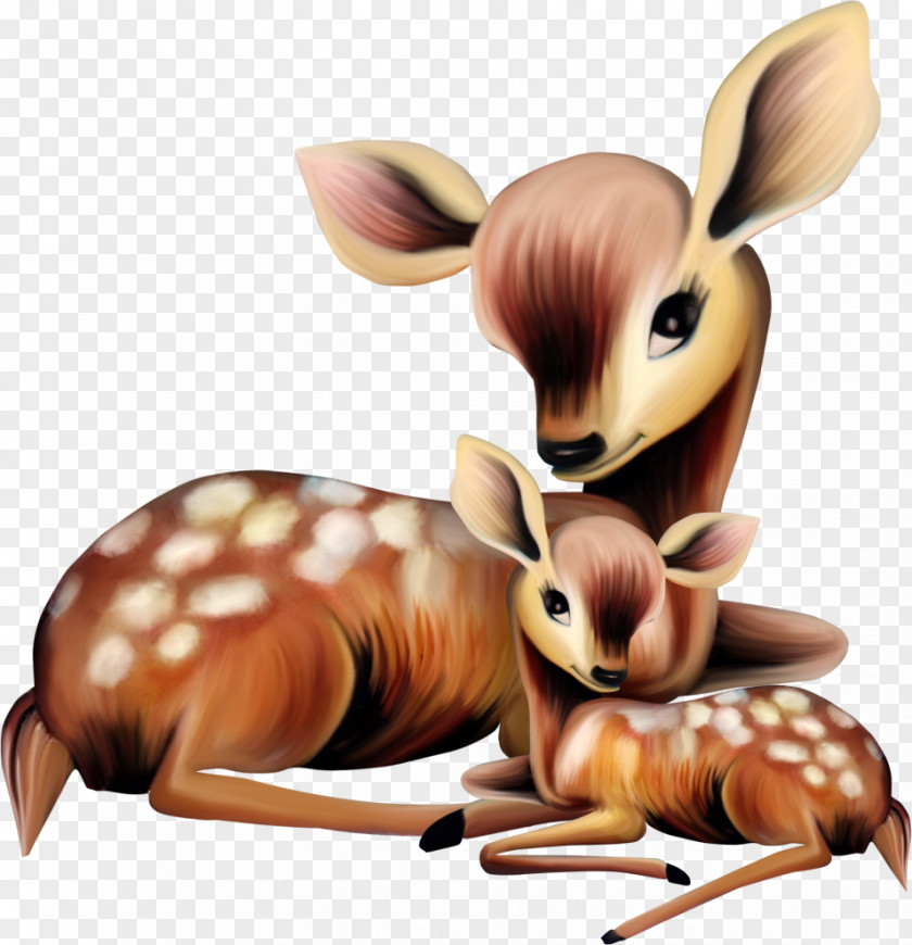 Deer White-tailed Clip Art Mother Illustration PNG