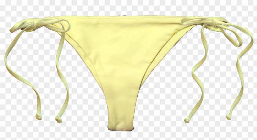 Design Briefs Southern California Underpants PNG