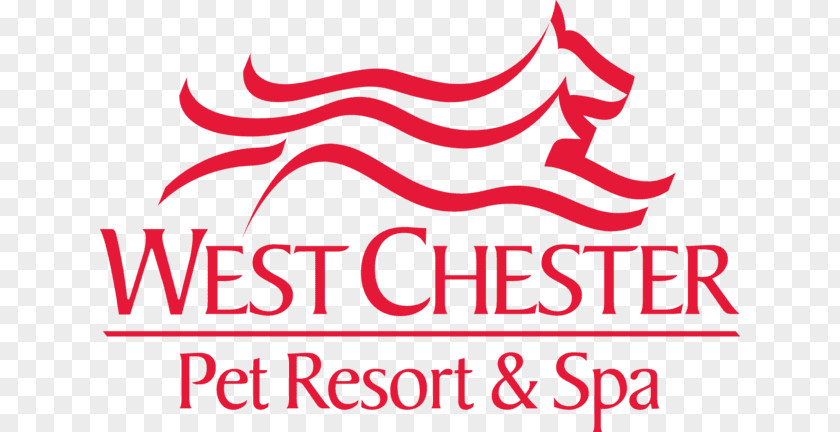 Dog Grooming West Chester Pet Resort And Spa Beauty Parlour Hotel PNG