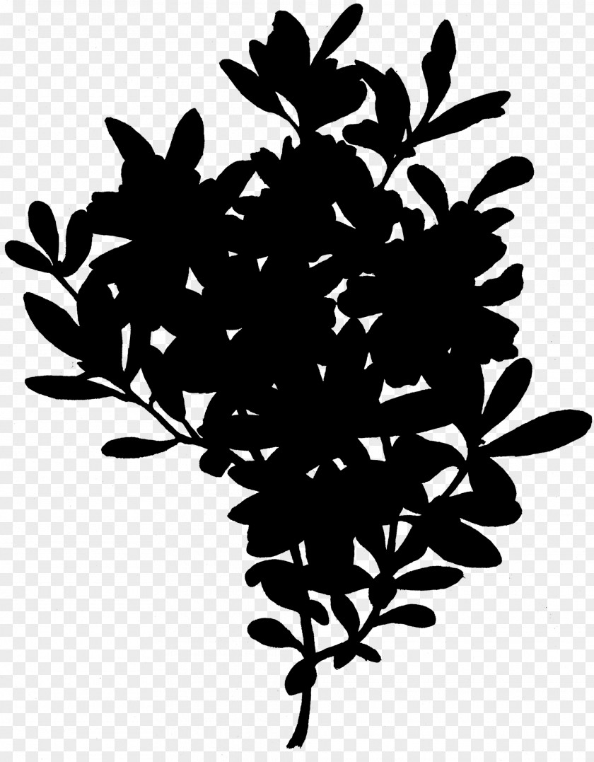 Flowering Plant Fruit Font Silhouette PNG