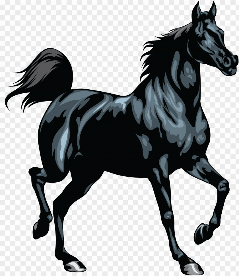 Horse Mustang Equestrian Clip Art PNG