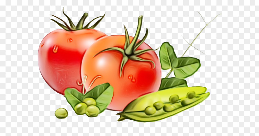 Plum Tomato Cherry Tomatoes Cartoon PNG