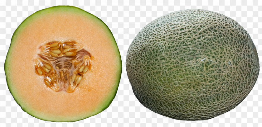 Whole And Half Cantaloupe Honeydew Melon PNG