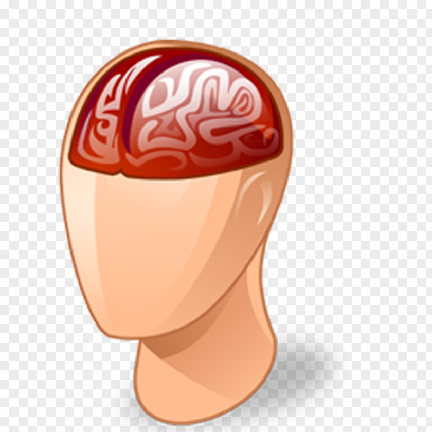 Brain Medicine Brainwave Entrainment Biofeedback Neural Oscillation Mind Battement Binaural PNG