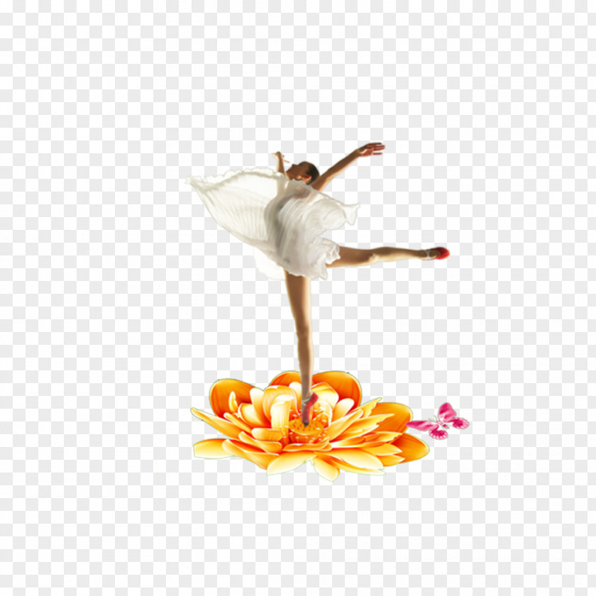 Flowers Of Ballet Material Dance Download PNG