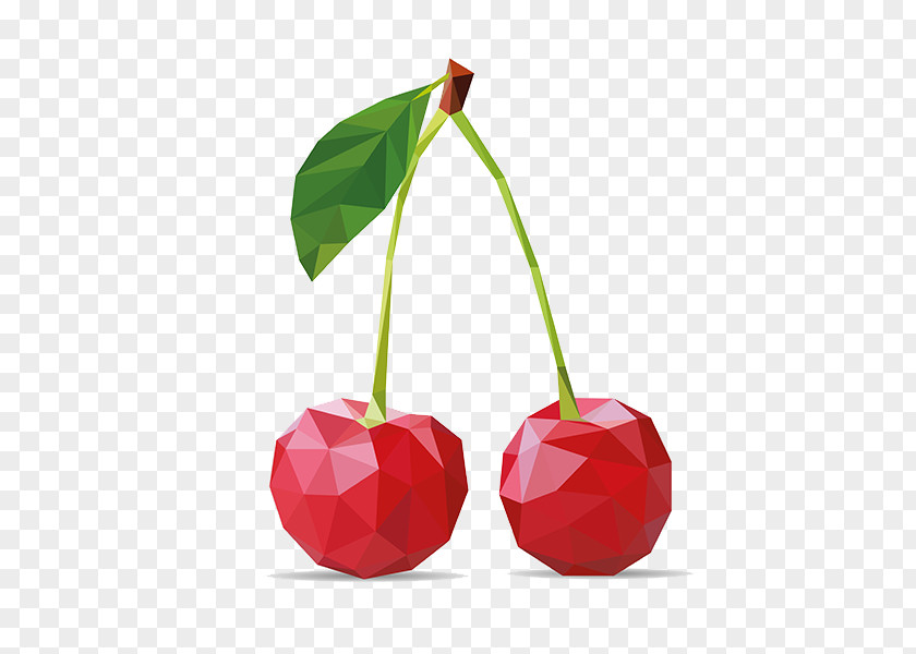 Geometry Cherry Polygon Auglis PNG