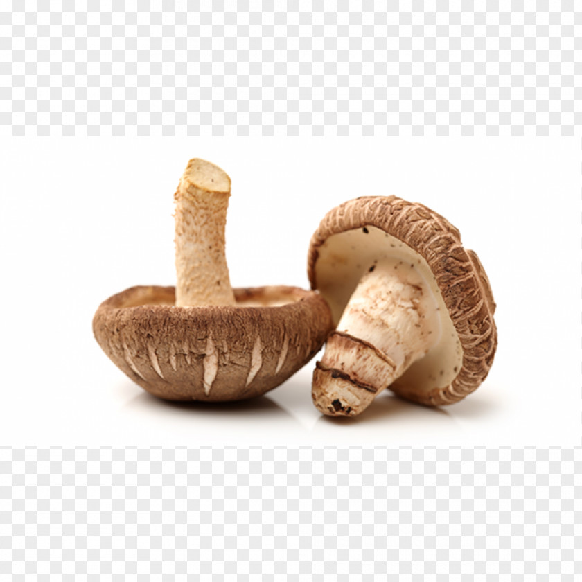Mushroom Shiitake Edible Asian Cuisine Vegetarian PNG