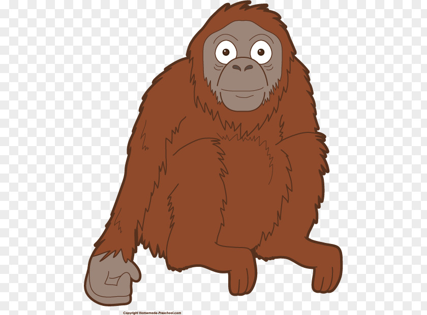 Orangutan Gorilla Bornean Baby Primate Clip Art PNG